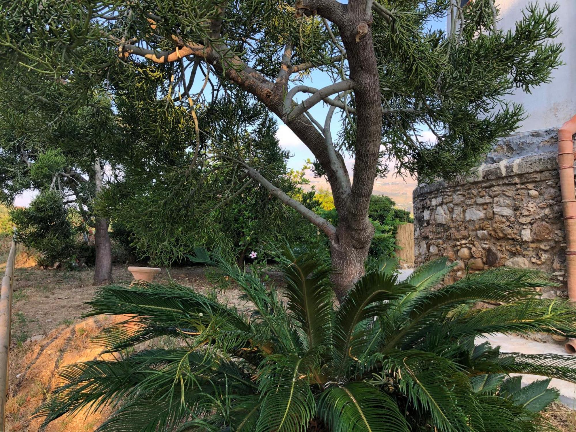 Torre Mariza Villa Scopello (Sicily)